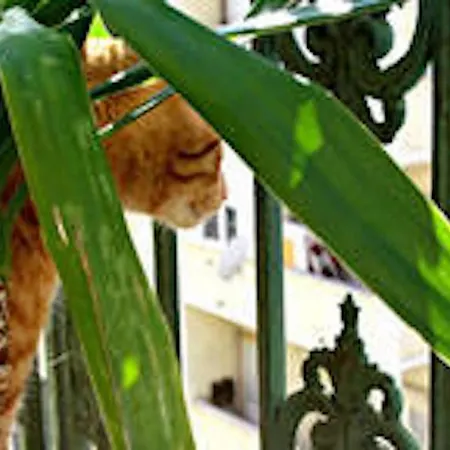 Cool * Lisboa